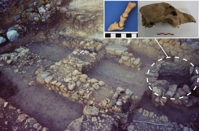 青铜时代的水井揭示希腊迈锡尼动物资源的历史