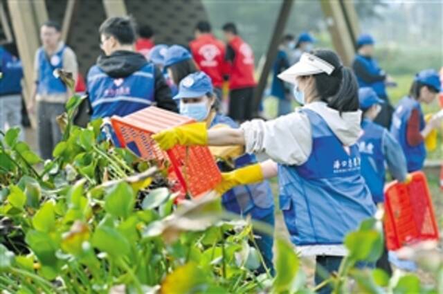 200多名青年 “青力青为”学雷锋