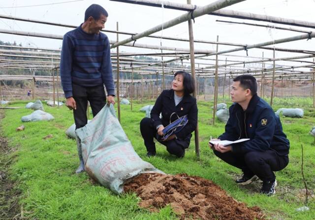 图为株洲市纪委监委干部在芦淞区白关镇走访了解强农惠农政策落实情况。王利云摄