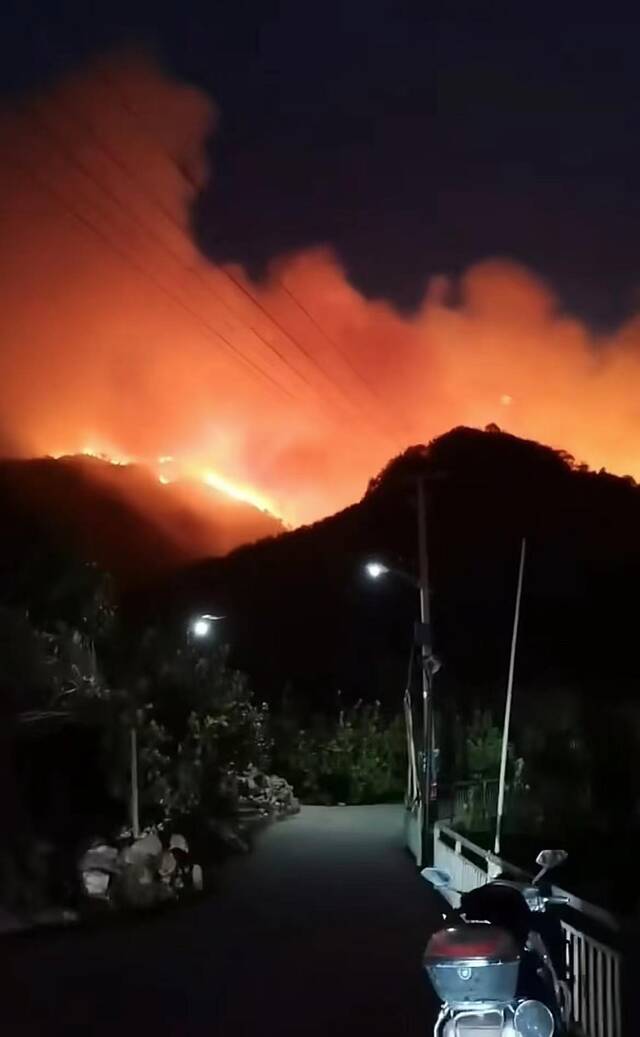 垟根村山火现场。图源视频截图