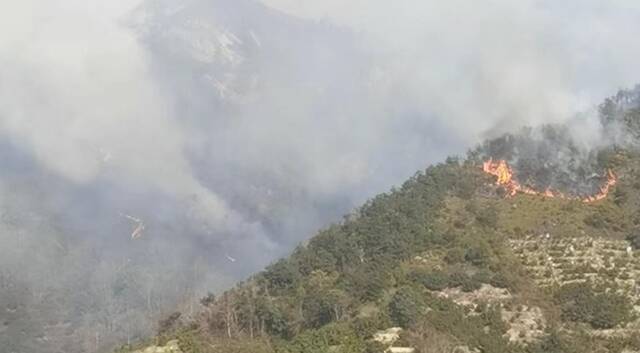 3月7日下午，樟岙村山头仍见零星山火。受访者供图