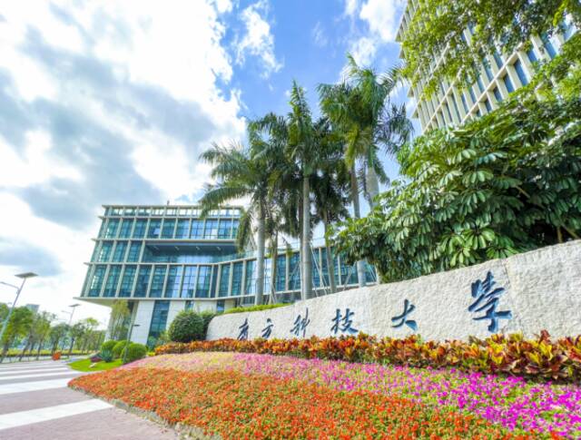 南方科技大学