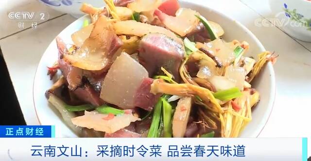 云南文山人采摘时令菜制作成各种美食 品尝春天味道