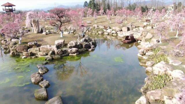 “问花村”里问路乡村振兴