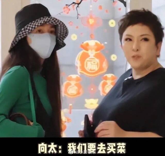 向太郭碧婷