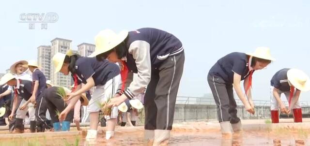 两会同期声  教育是国之大计 委员们如是说