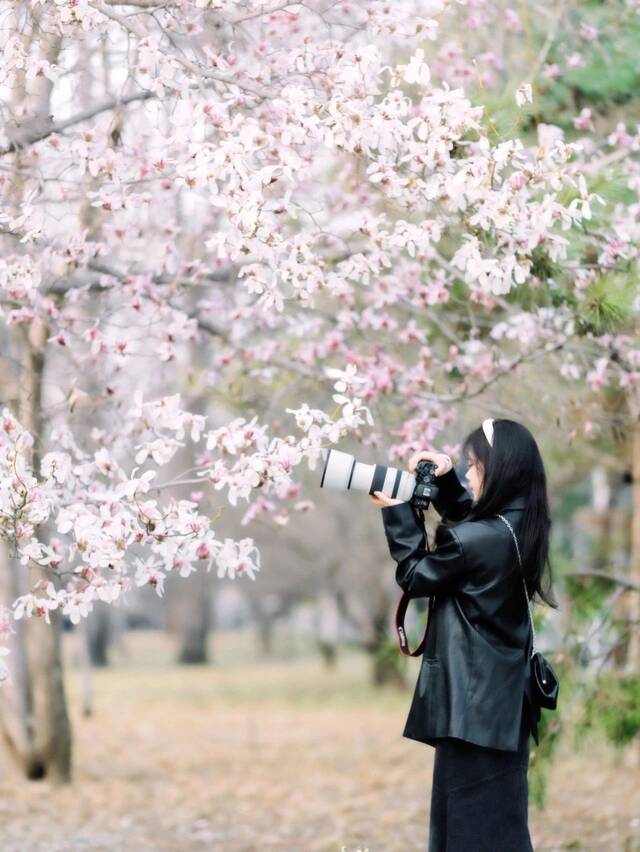 花开了，北科大等你来！