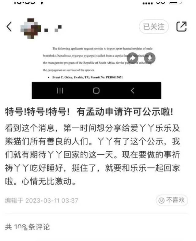 美国将公示丫丫的回国相关证明