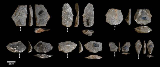 早期人类和猴子制造的石器惊人的相似之处
