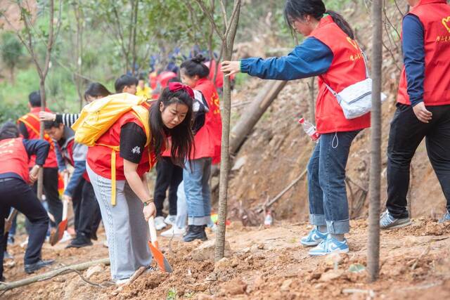 3月10日，在位于重庆市璧山区八塘镇阳龙村的缙云山脚下，吴朴慧（左前）在植树。新华社记者唐奕摄