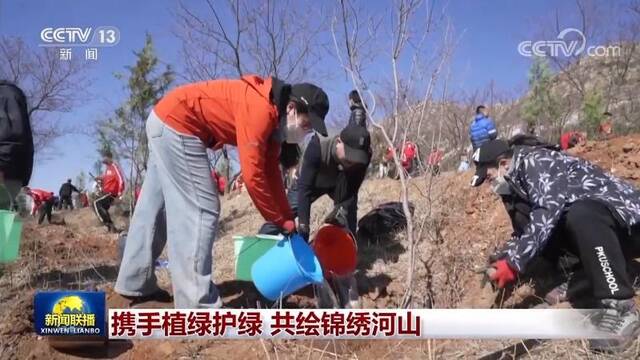 携手植绿护绿 共绘锦绣河山