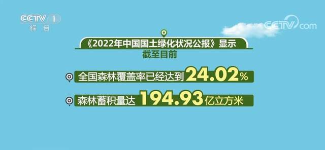 神州大地青未了 为地球增添更多“中国绿”