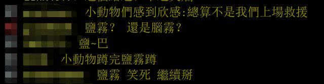 桃园电线杆冒火花，台电称“受盐雾害影响”，网友：这次不是小动物了