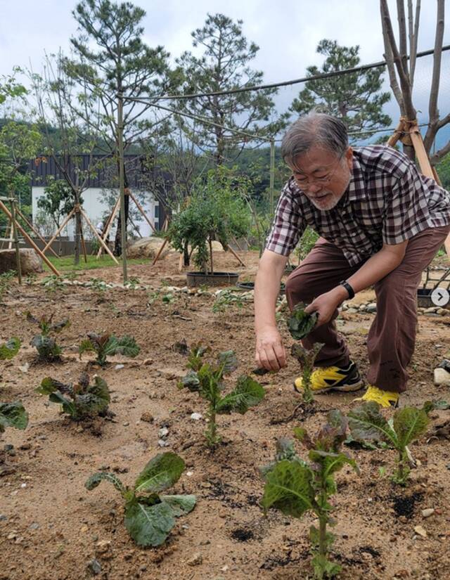 文在寅下地采摘生菜（社交平台）