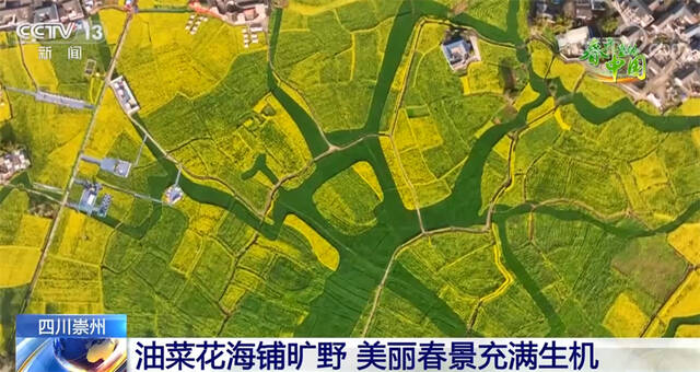 春回大地百花齐放 美丽春景充满生机