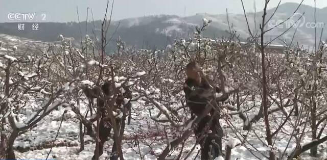 云南会泽出现降雪天气 各部门多措施应对春雪影响