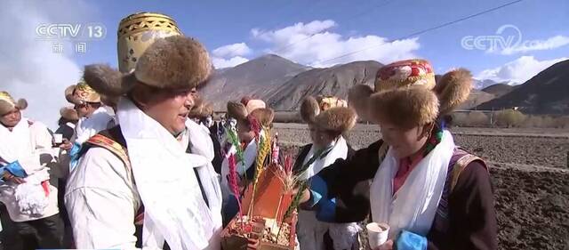 满满的仪式感！巴朗村村民身着藏族盛装祈愿春耕“第一犁”