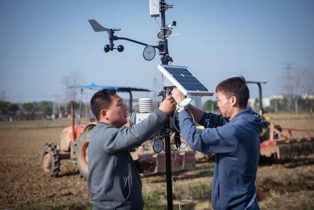 3月15日，工作人员正在田边调试气象监测设备。新华社记者伍志尊摄
