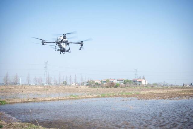 3月15日，武汉永旺农产品专业合作社的植保无人机正在播撒谷种。新华社记者伍志尊摄