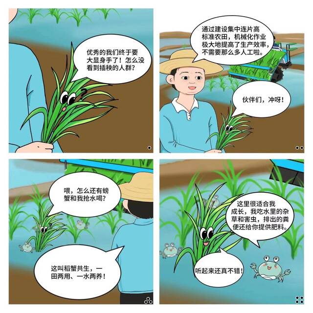 创意漫画丨一粒种子的旅行