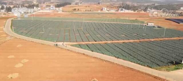 用好田间每一滴水 我国农田灌溉水有效利用系数逐年提高