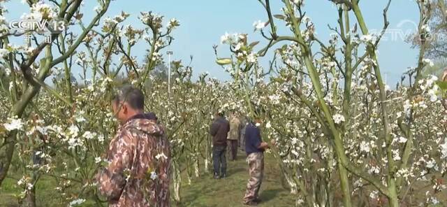 全国各地农户们抢抓农时劳作 为丰产增收打下基础