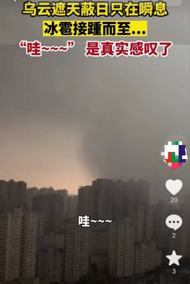 3月22日，浙江温州图源：网络截图