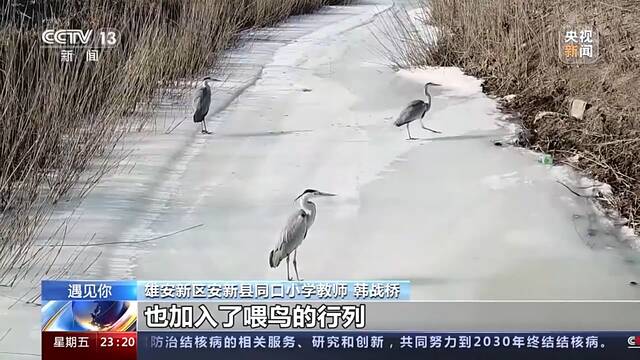 遇见你｜“鸟叔”韩战桥 守护着家乡的荷红苇绿、百鸟翔集