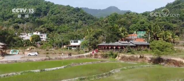 美丽乡村建设百花齐放 特色产业助力海南各地乡村振兴