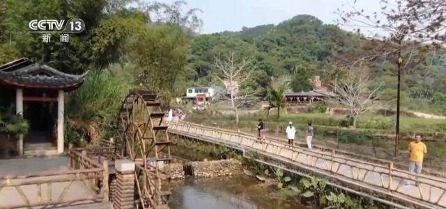 美丽乡村建设百花齐放 特色产业助力海南各地乡村振兴