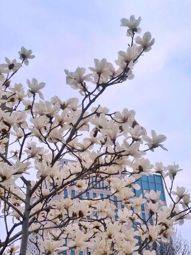 天工春日生活指南