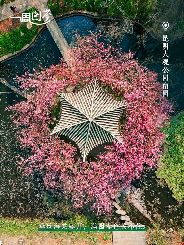 春和景明，万物竞芬芳