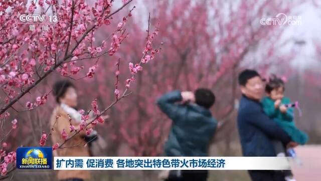 扩内需 促消费 各地突出特色带火市场经济