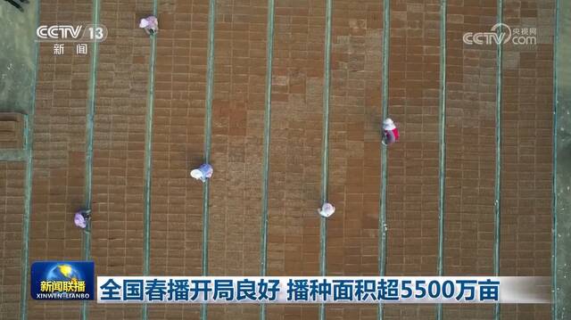 全国春播开局良好 播种面积超5500万亩