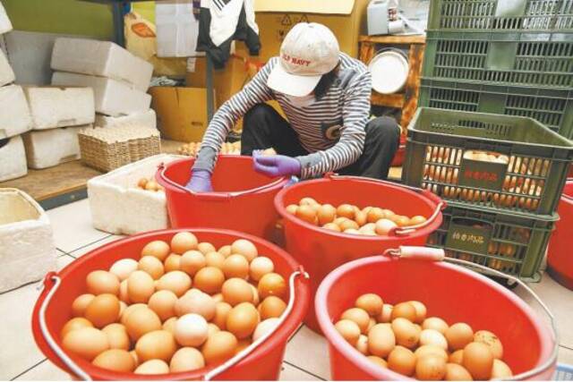 台媒：撑不住了！高雄80家早餐店准备停售蛋类食品