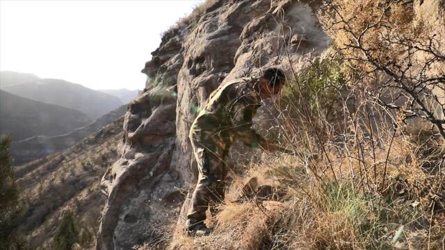 “悬崖造林队”队长王永红在宜川县黄河悬崖上种树。新华社记者孙正好摄