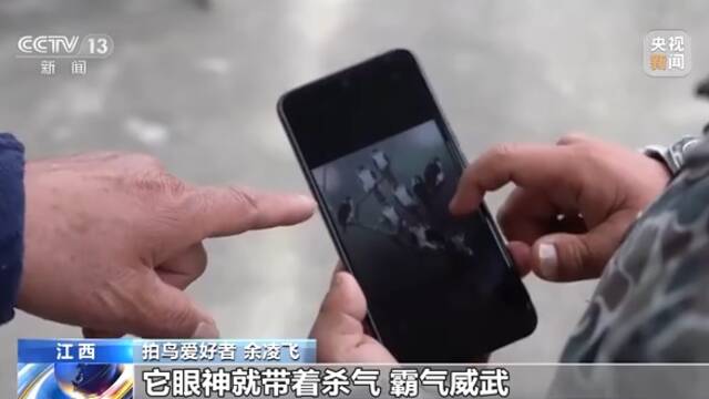 看白鹤归来 “熊猫鸟”捕食尽显霸气