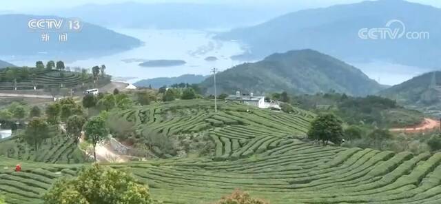 万里山河层峦叠嶂翠如画 大江南北春花烂漫展新颜