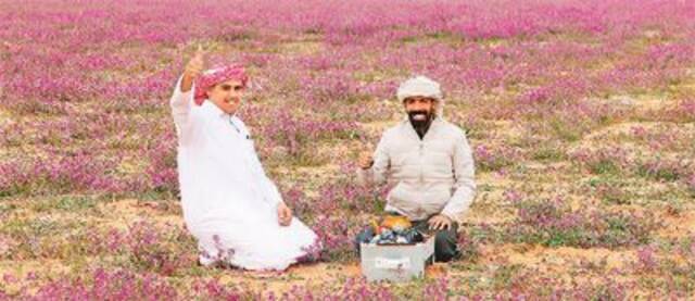 近日，在沙特阿拉伯拉夫哈，人们在薰衣草田中煮茶休闲。新华社/法新