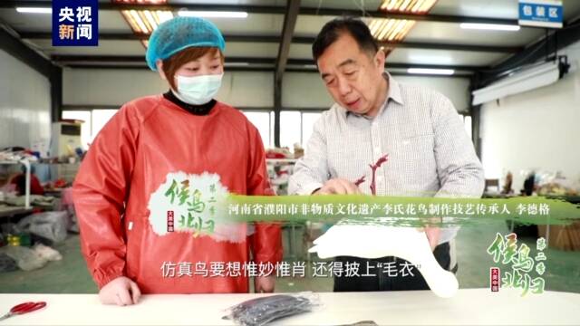 大美中国 候鸟北归｜仿真鸟潜入栖息地会有什么偶遇？