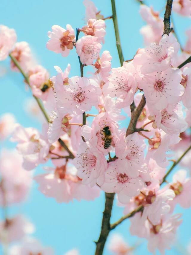 重大的春天，好像不一样！