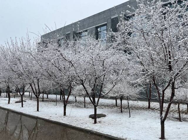 今年来最大范围强雨雪天气将至，由何来？影响多大？