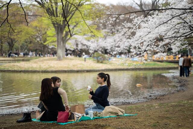 3月21日，人们在日本东京代代木公园野餐休憩。新华社记者张笑宇摄
