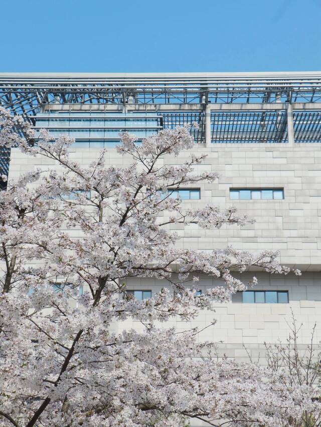 今日，你听那春日与校园的交响！