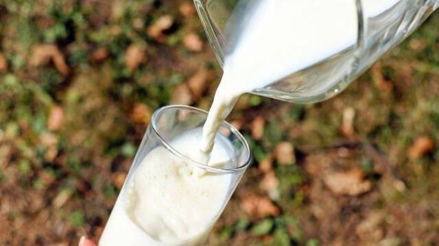如何看生鲜乳过剩、有奶农卖牛止损？媒体谈奶业发展主要矛盾