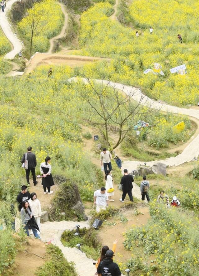 ↑4月3日，游客在覆卮山古梯田间游玩。