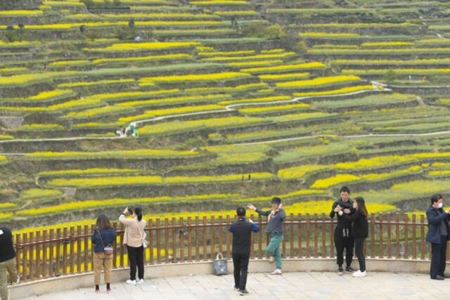 ↑4月3日，游客在覆卮山古梯田观光留影。