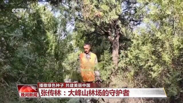 播撒绿色种子 共建美丽中国