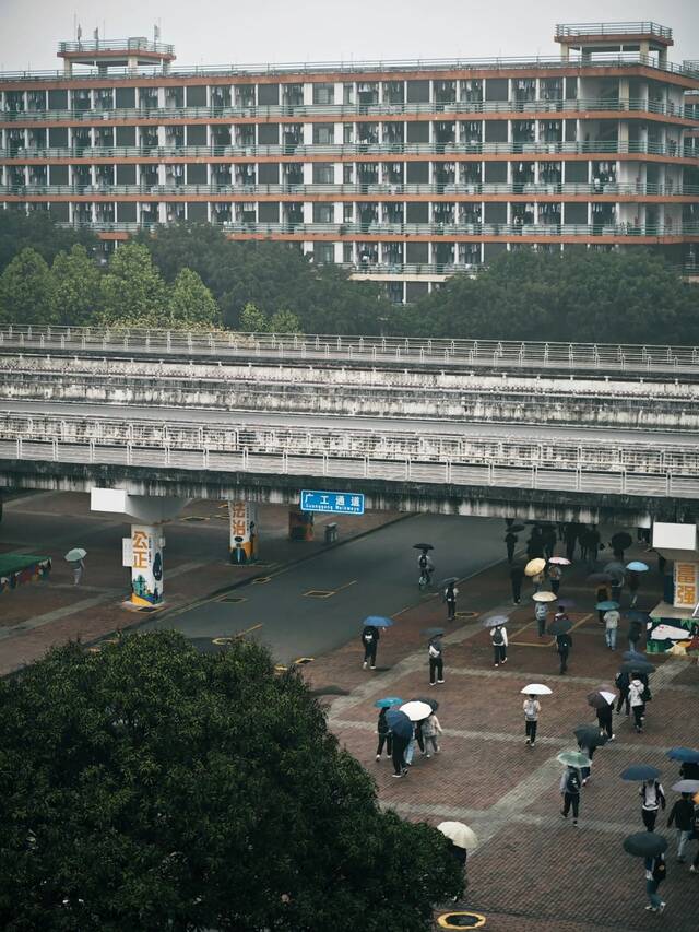 今日清明，“雨中”不同