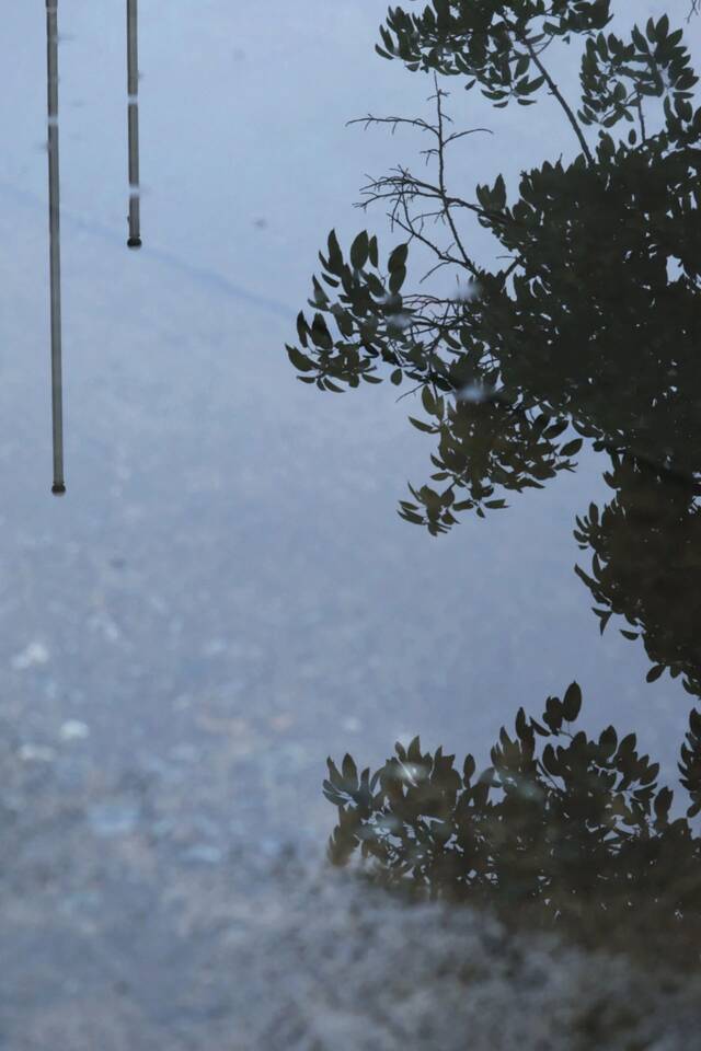 今日清明，“雨中”不同